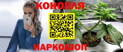 стафф Коммунар