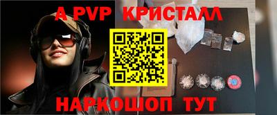молекула духа Кингисепп