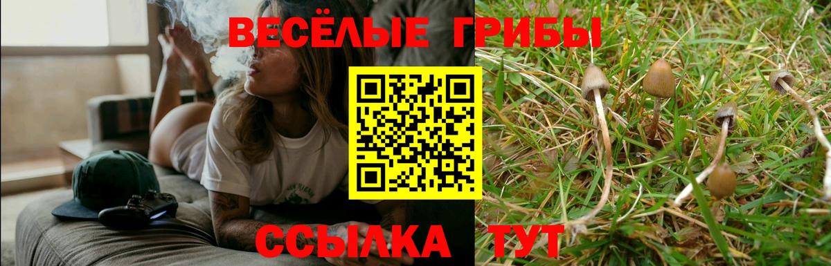 Псилоцибиновые грибы Magic Shrooms  Вход с VPN  Кувандык 